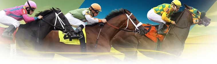 Tìm Hiểu Cá Cược Đua Ngựa Good88 Với Luật Chơi Chi Tiết 1 Tìm Hiểu Cá Cược Đua Ngựa Good88 Với Luật Chơi Chi Tiết